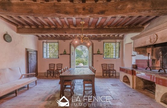 Vendita Villa Campagna Camaiore Toscana