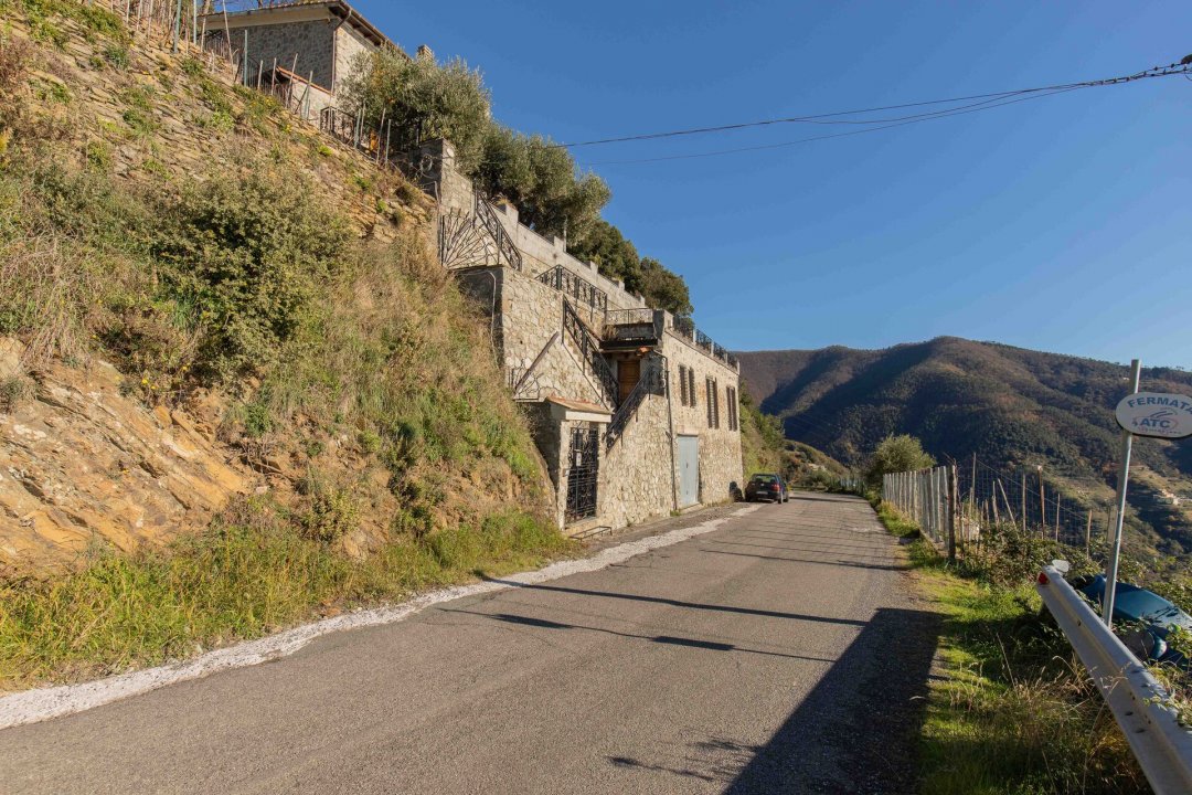 Vendita villa sul mare Vernazza Liguria foto 18