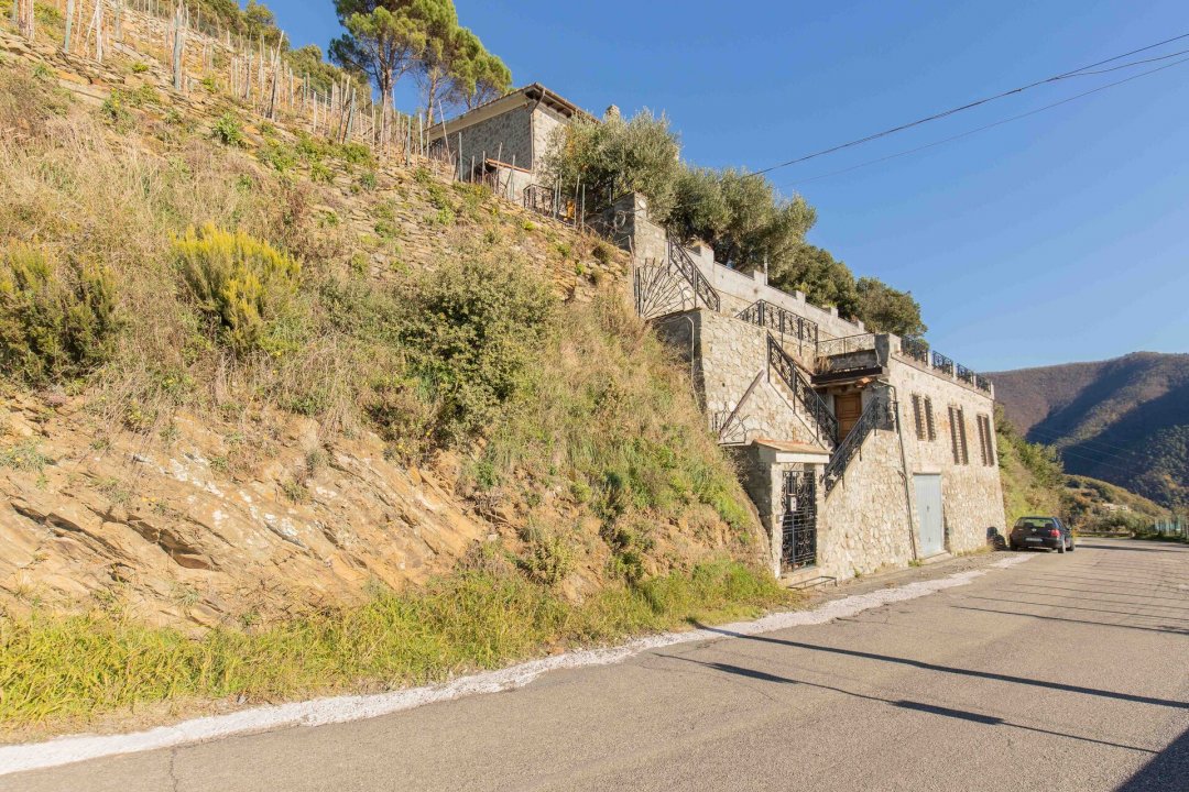Vendita villa sul mare Vernazza Liguria foto 19